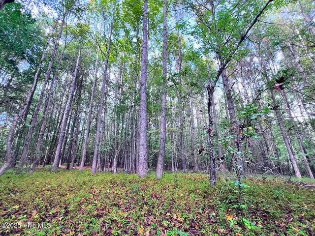 $150,000 | 0 Old Lewis School Road, Middlesex, NC 27557