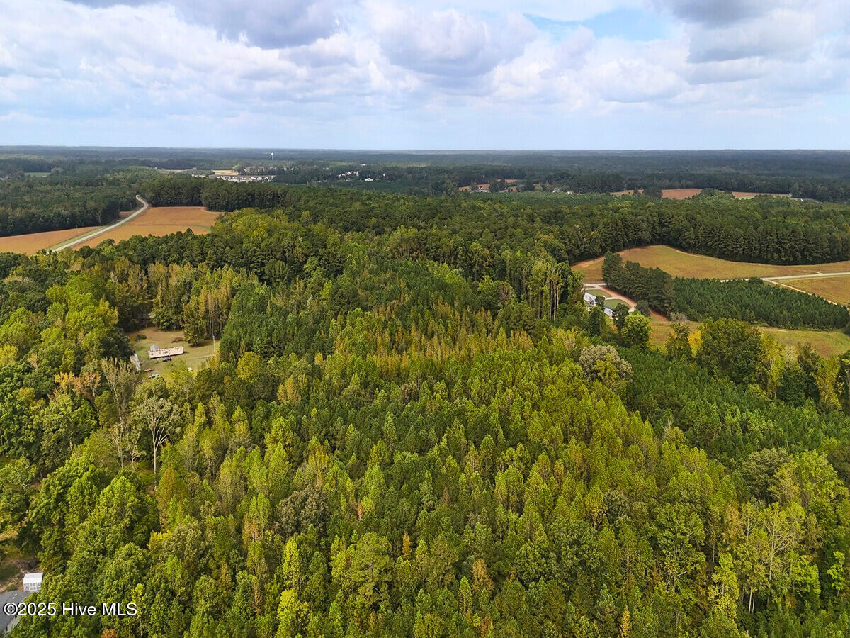 0 Old Lewis School Road Middlesex, NC 27557 - Photo 12 of 36 12.