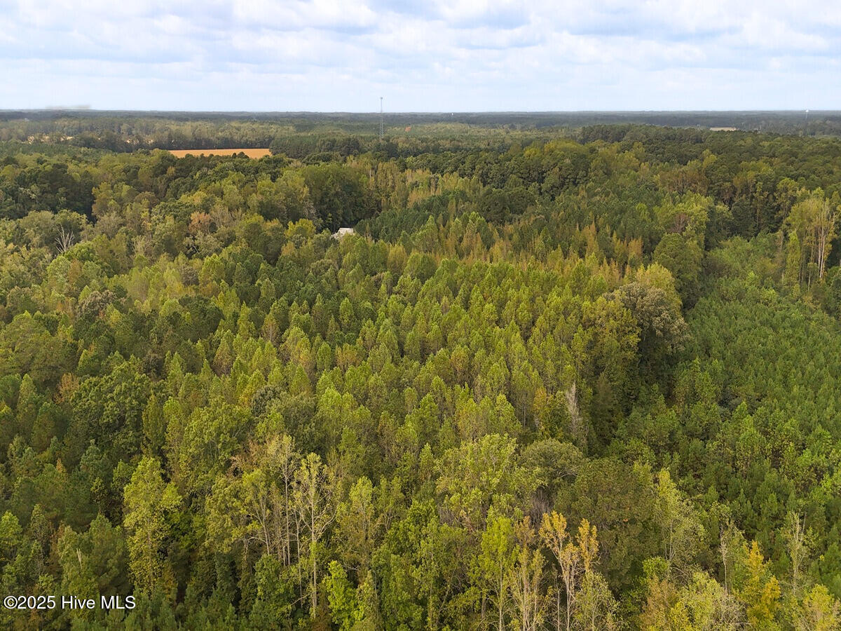 0 Old Lewis School Road Middlesex, NC 27557 - Photo 16 of 36 16.