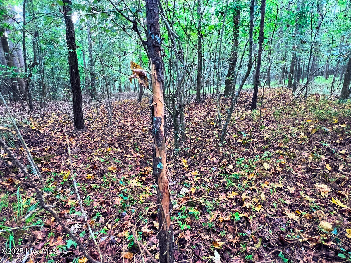 0 Old Lewis School Road Middlesex, NC 27557 - Photo 18 of 36 18. Rub