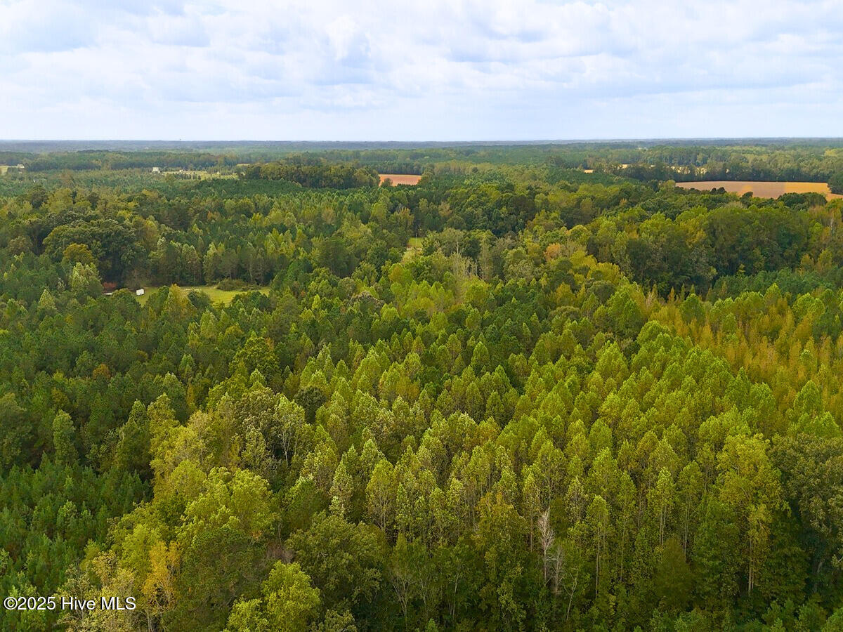 0 Old Lewis School Road Middlesex, NC 27557 - Photo 20 of 36 20.