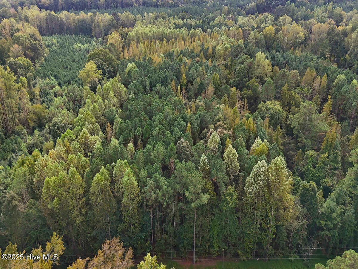 0 Old Lewis School Road Middlesex, NC 27557 - Photo 2 of 36 2.