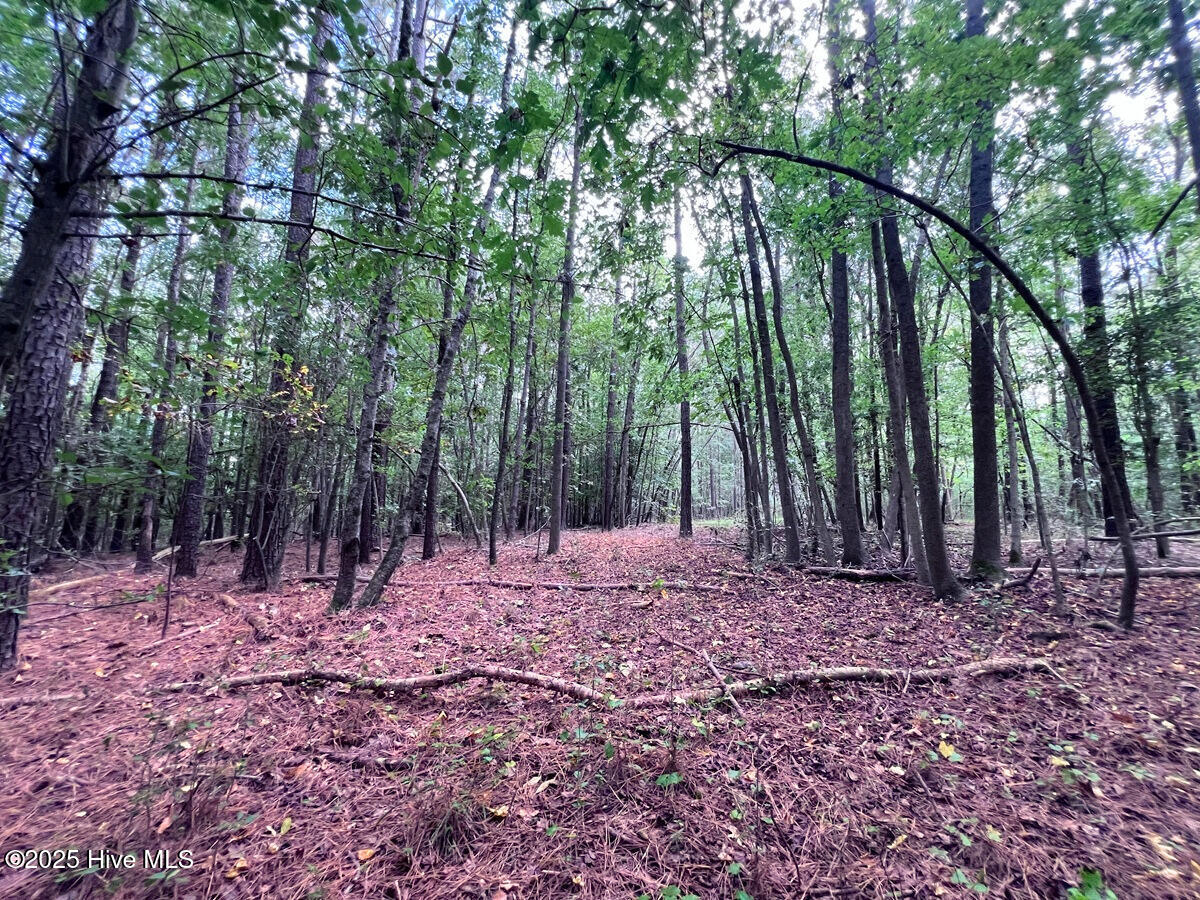 0 Old Lewis School Road Middlesex, NC 27557 - Photo 26 of 36 26.