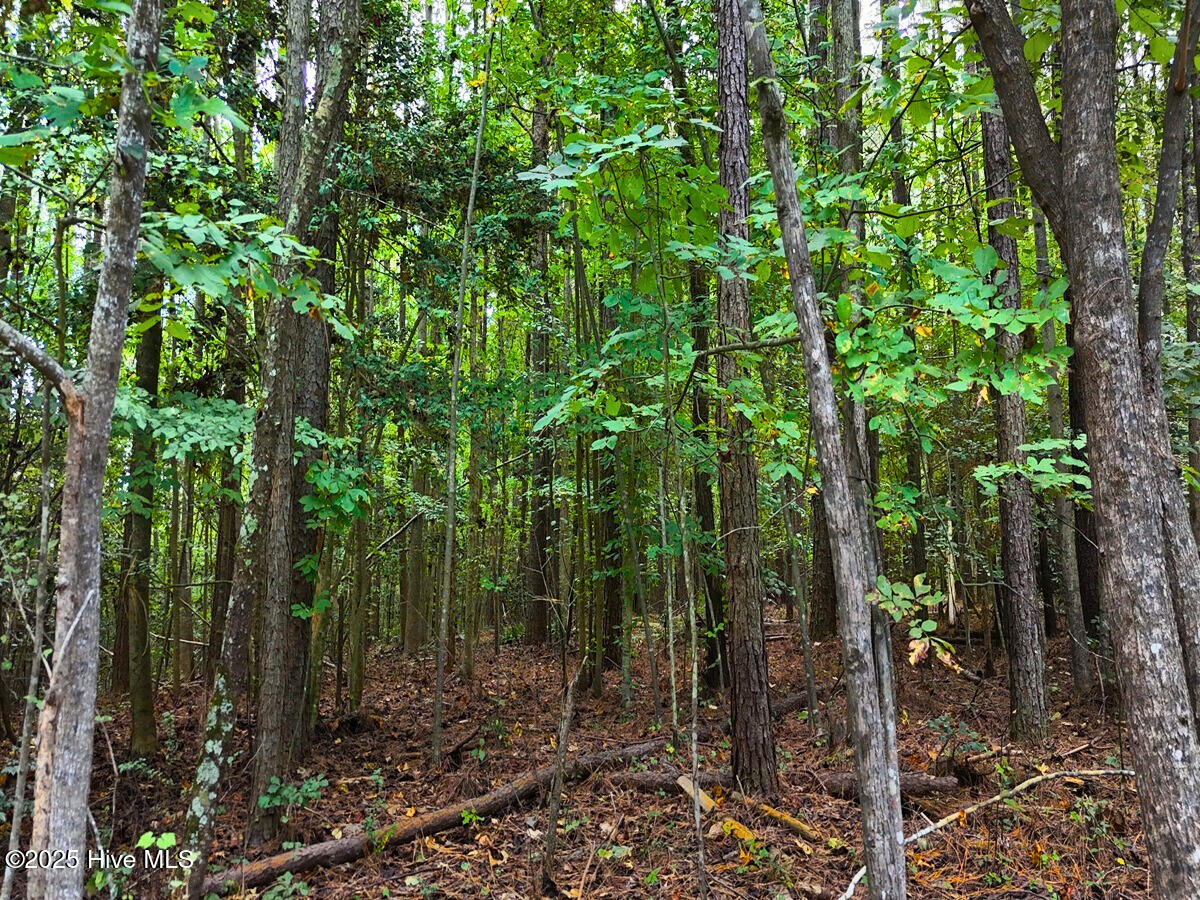0 Old Lewis School Road Middlesex, NC 27557 - Photo 27 of 36 27.