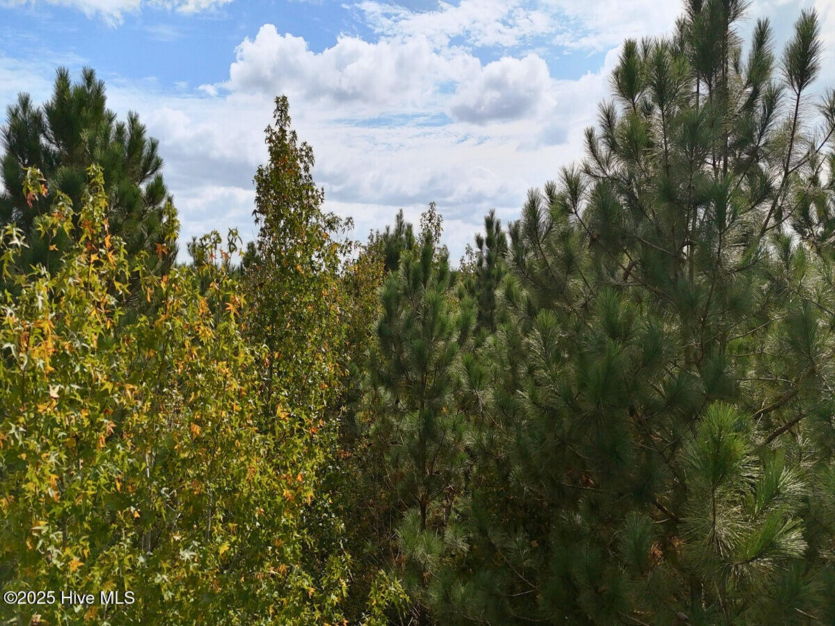 0 Old Lewis School Road Middlesex, NC 27557 - Photo 29 of 36 29.