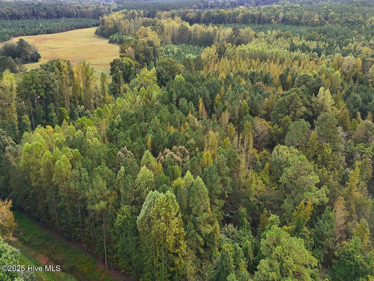 0 Old Lewis School Road Middlesex, NC 27557 - Photo 3 of 36 3.