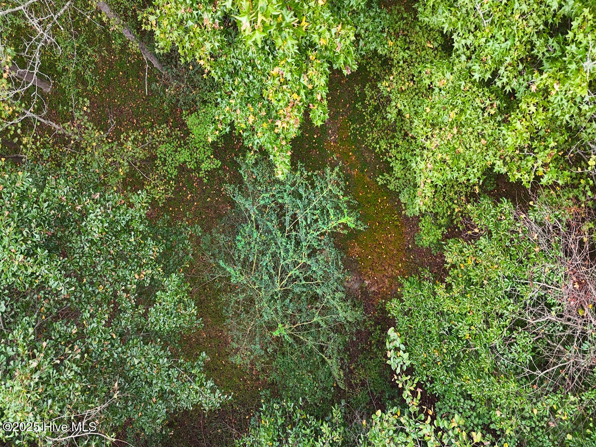 0 Old Lewis School Road Middlesex, NC 27557 - Photo 31 of 36 31.