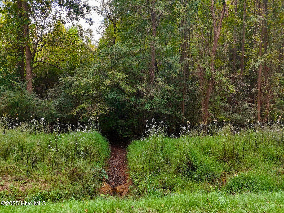 0 Old Lewis School Road Middlesex, NC 27557 - Photo 33 of 36 33.