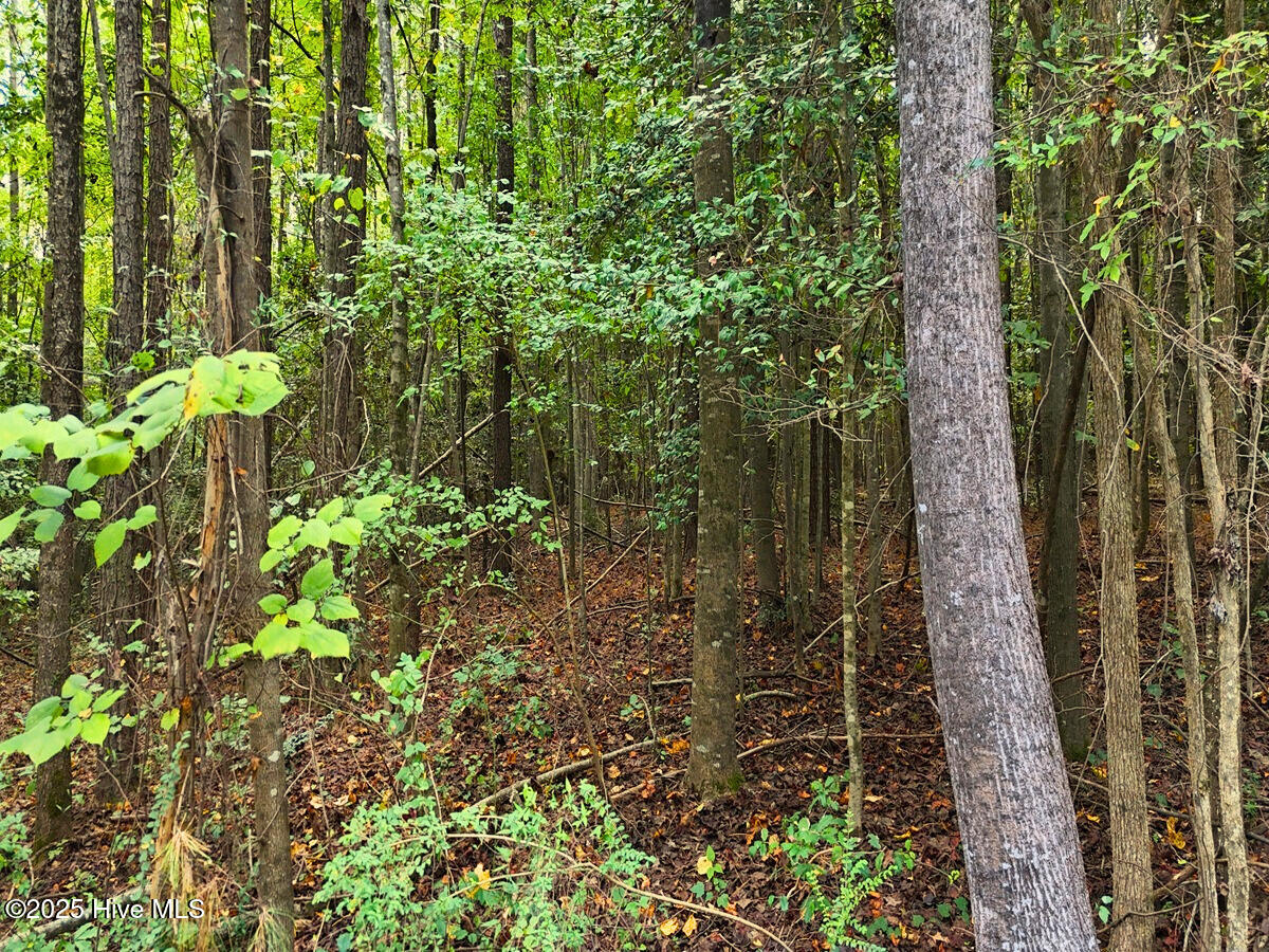 0 Old Lewis School Road Middlesex, NC 27557 - Photo 34 of 36 34.