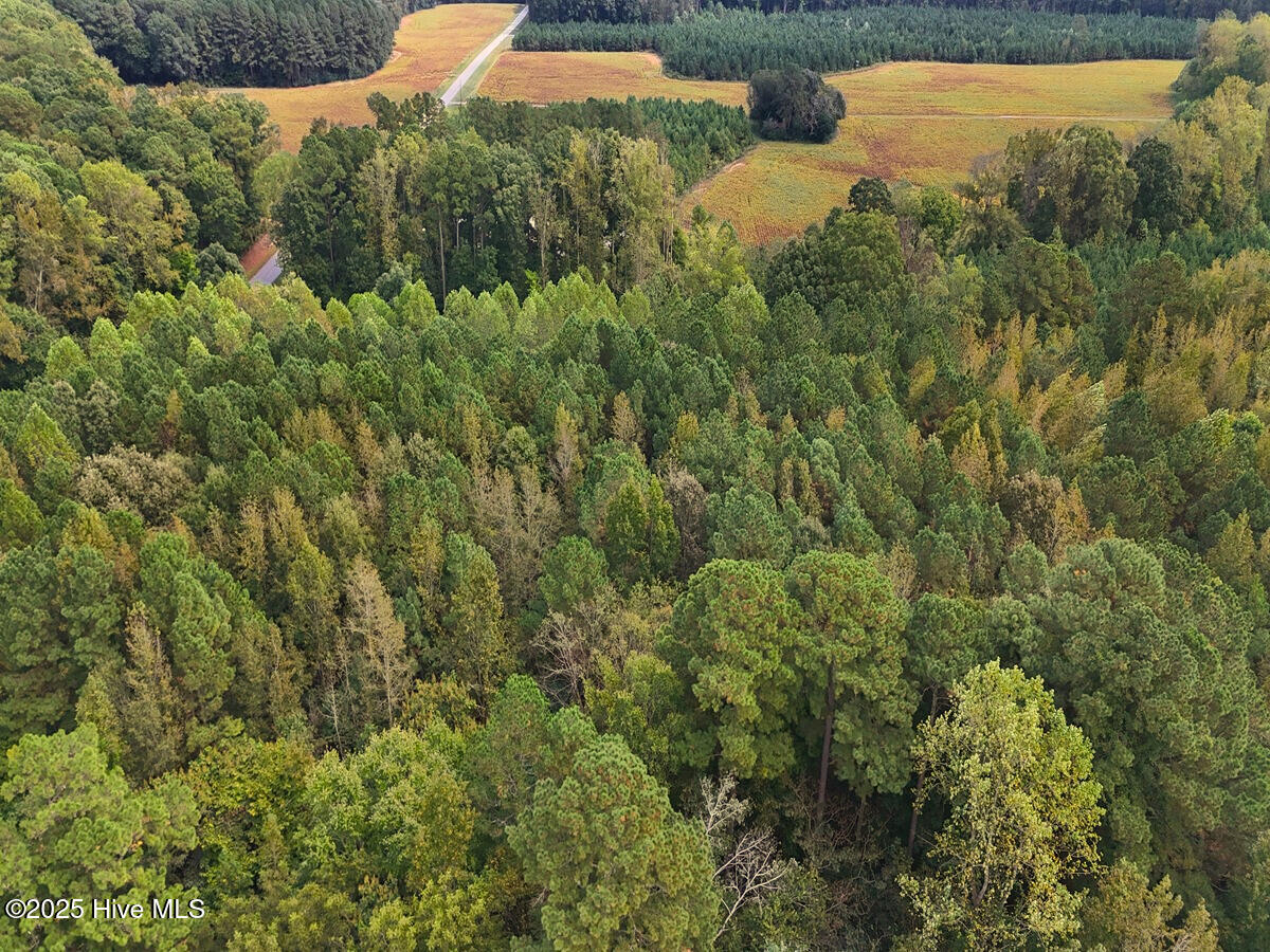 0 Old Lewis School Road Middlesex, NC 27557 - Photo 5 of 36 5.