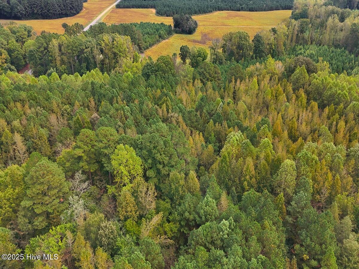 0 Old Lewis School Road Middlesex, NC 27557 - Photo 6 of 36 6.