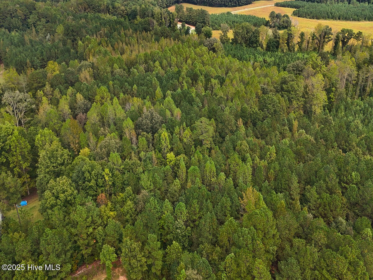 0 Old Lewis School Road Middlesex, NC 27557 - Photo 7 of 36 7.