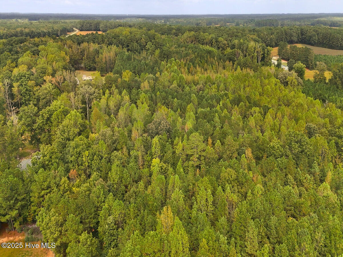 0 Old Lewis School Road Middlesex, NC 27557 - Photo 8 of 36 8.