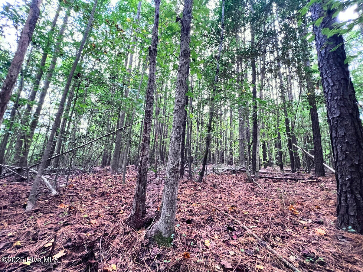 0 Old Lewis School Road Middlesex, NC 27557 - Photo 10 of 36 10.
