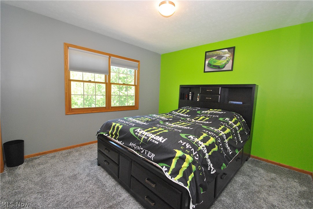 5270 Chadwick Road Madison, OH 44057 - Photo 24 of 30