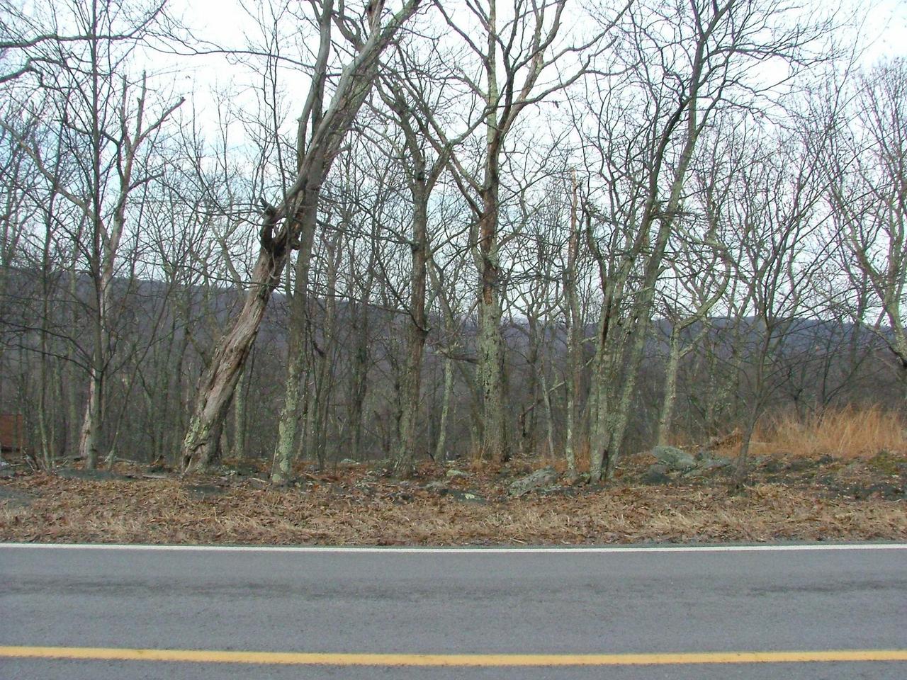 823 Hampstead Road Huntingdon Valley, PA 19006 - Photo 1 of 8 a view of a yard with large trees