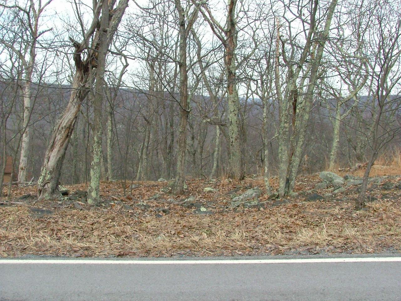 823 Hampstead Road Huntingdon Valley, PA 19006 - Photo 3 of 8 a backyard of a house