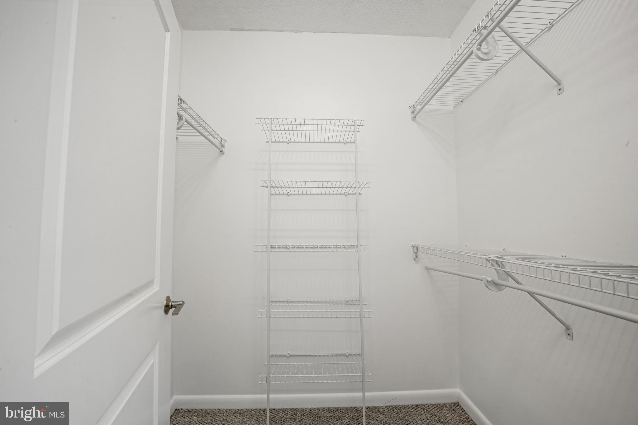 851 North Glebe Road, Unit 1608 Arlington, VA 22203 - Photo 16 of 24 a view of walk in closet with empty racks