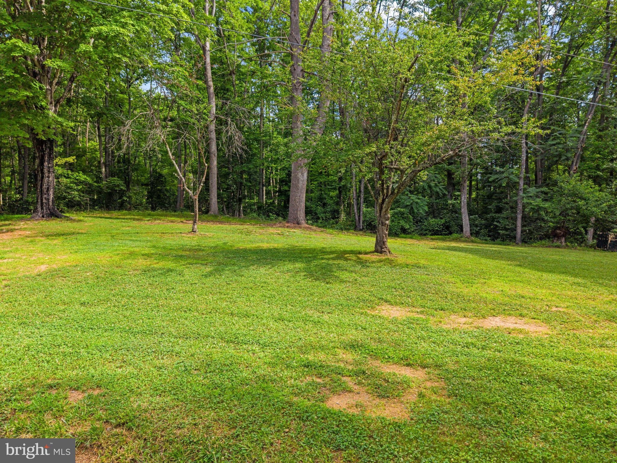 2303 West Hoover Road Haywood, VA 22722 - Photo 37 of 69 Lovely Shaded Yard Near The House