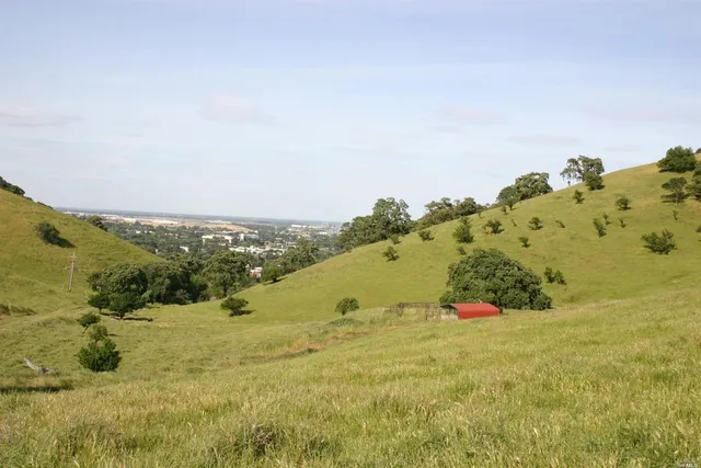 a view of a field with an ocean