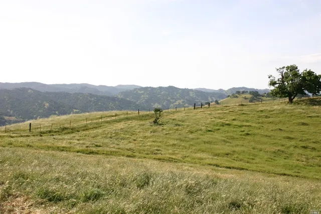 a view of a field with an ocean