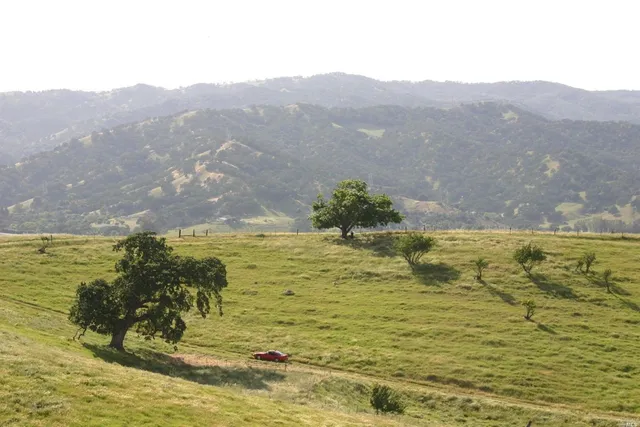 a view of a field of grass and trees
