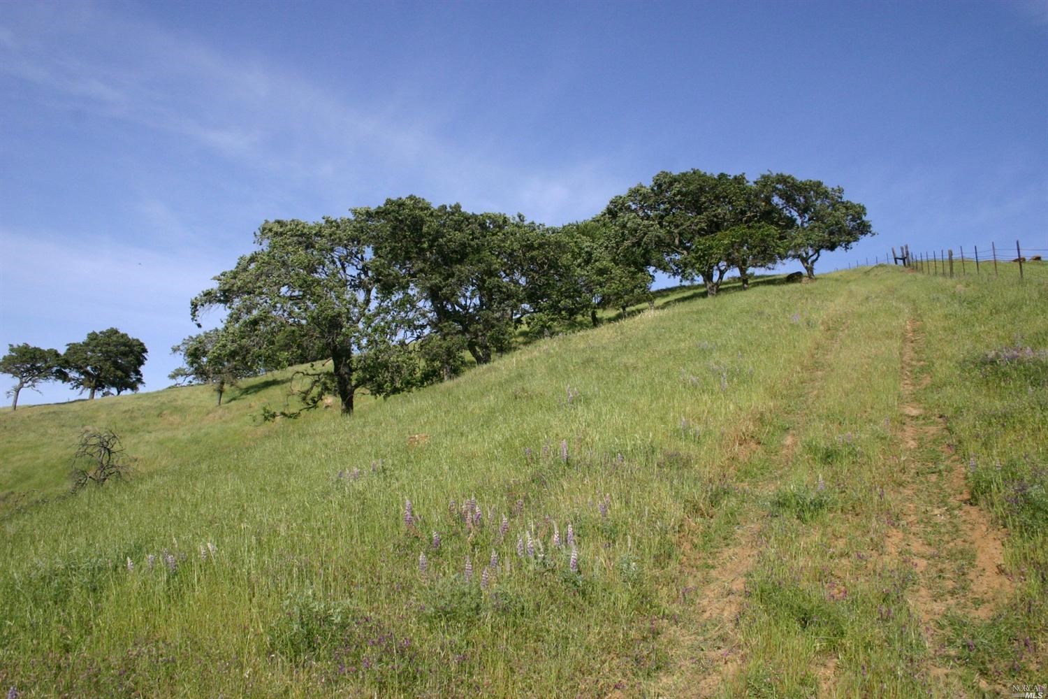 0 Marshall Road Vacaville, CA 95687 - Photo 10 of 10 a view of a field of grass and trees
