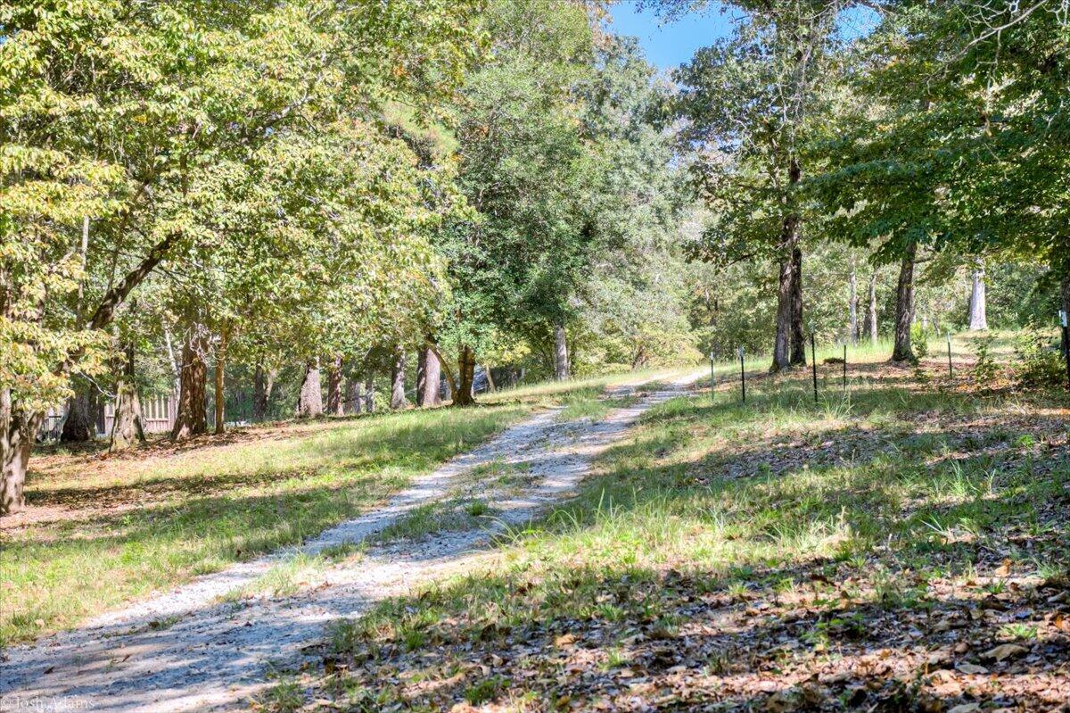 1488 Hatchaway Bridge Road Aiken, SC 29801 - Photo 50 of 65
