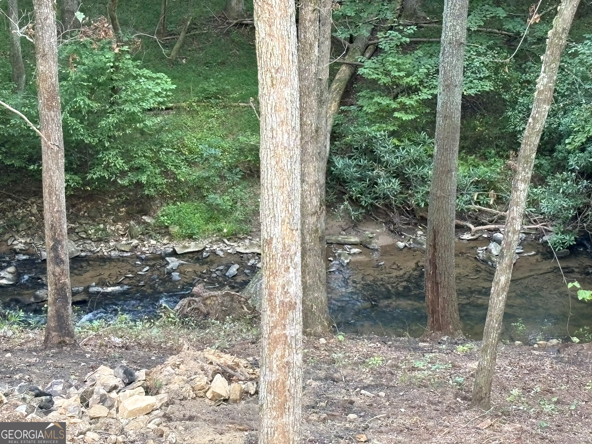 396 Mt Springer Road Ellijay, GA 30540 - Photo 39 of 50