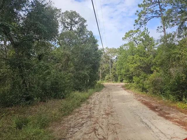 $13,500 | Southeast 92nd Place, Ocklawaha, FL 32179