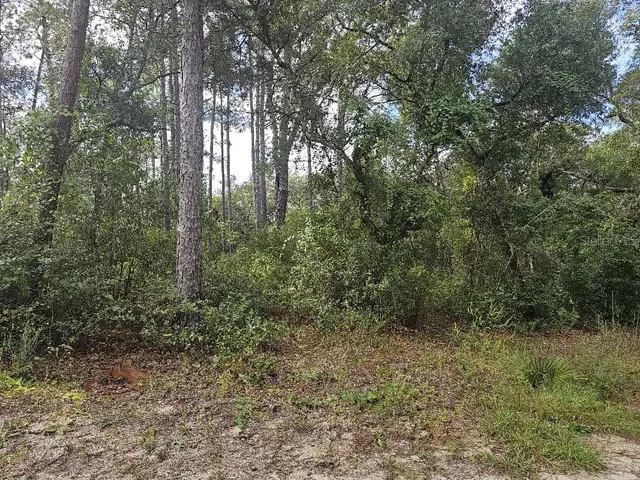 $13,500 | Southeast 92nd Place, Ocklawaha, FL 32179