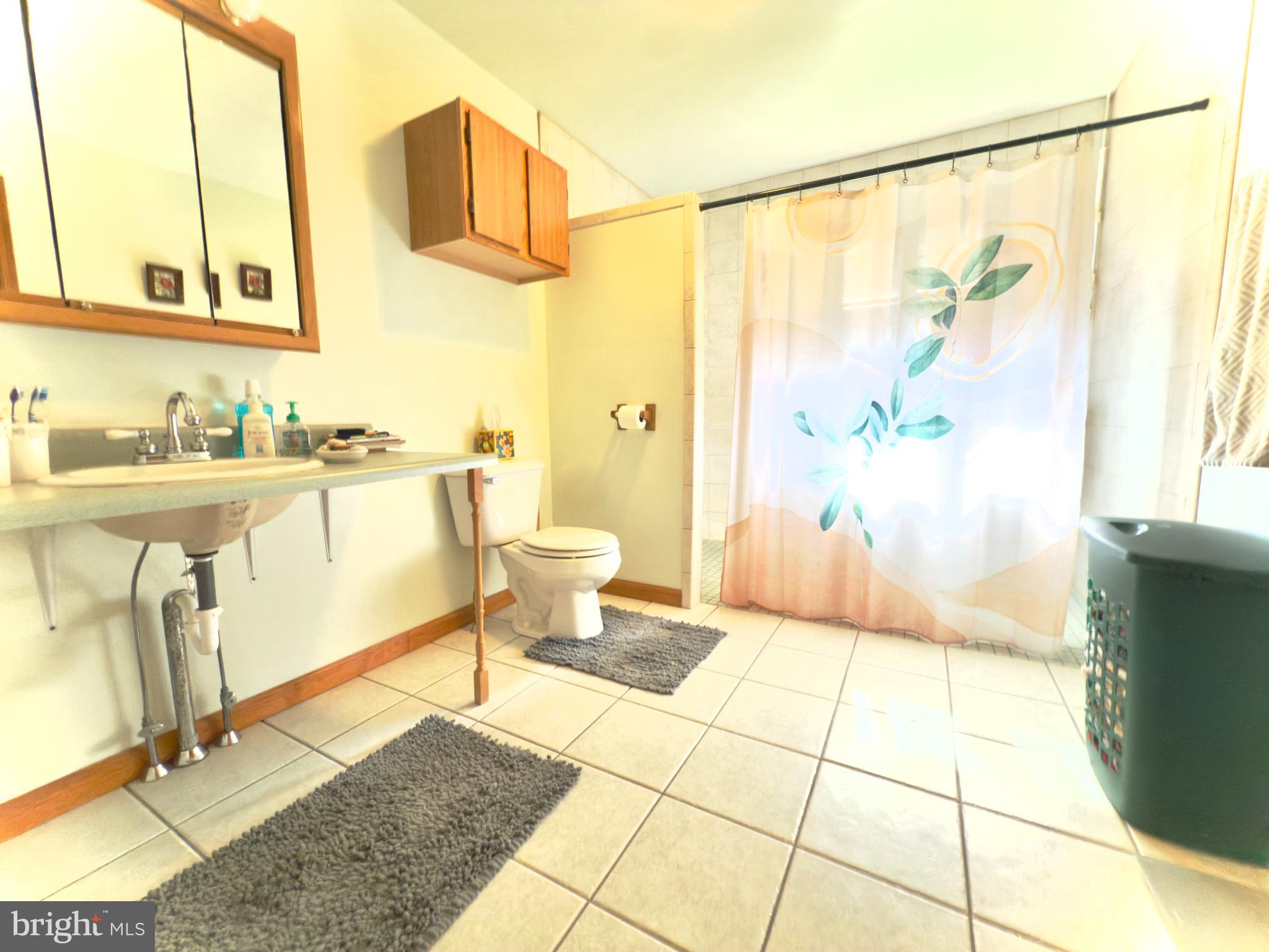 70 Kathryn Road McClure, PA 17841 - Photo 12 of 29 a bathroom with a granite countertop sink a mirror and a shower