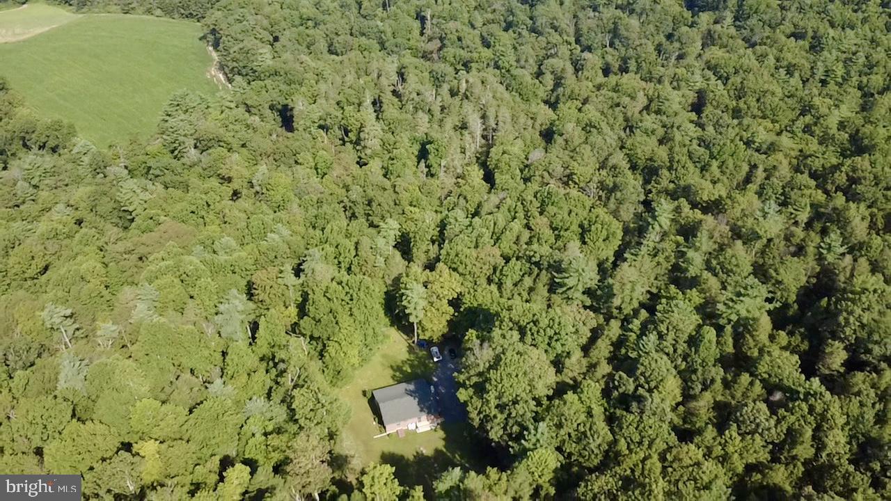 70 Kathryn Road McClure, PA 17841 - Photo 24 of 29 a view of a big yard with plants and large window