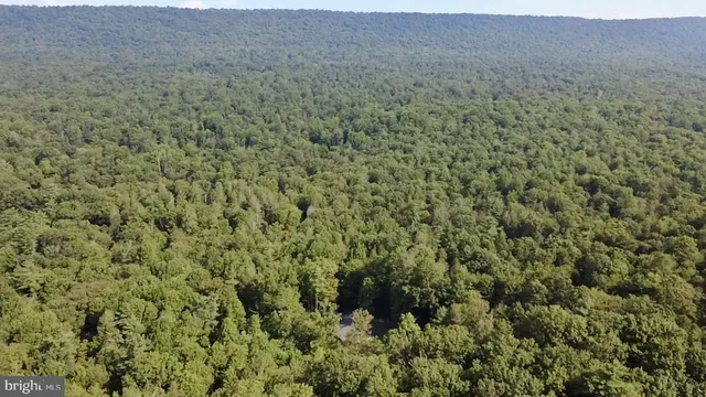 view of a yard with table and chairs