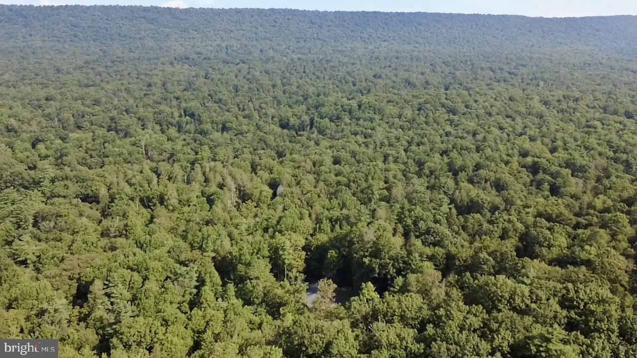 70 Kathryn Road McClure, PA 17841 - Photo 25 of 29 a view of a field