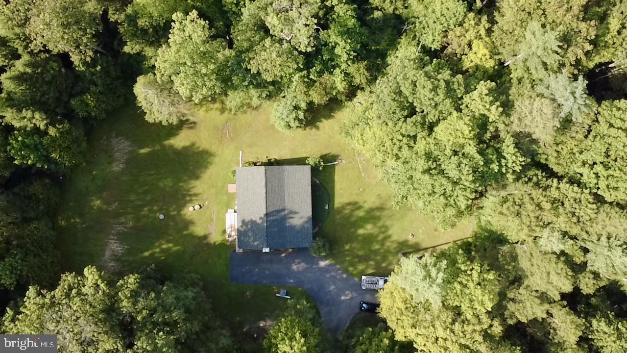 70 Kathryn Road McClure, PA 17841 - Photo 29 of 29 a picture of flowers