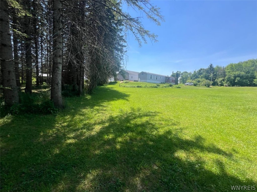 420 Prior Road Clayville, NY 13322 - Photo 9 of 21