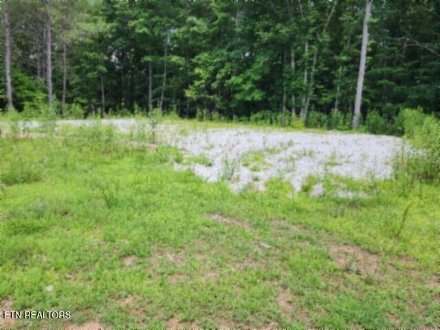 674 Rhodas Way Sunbright, TN 37872 - Photo 12 of 37 20260629_122739