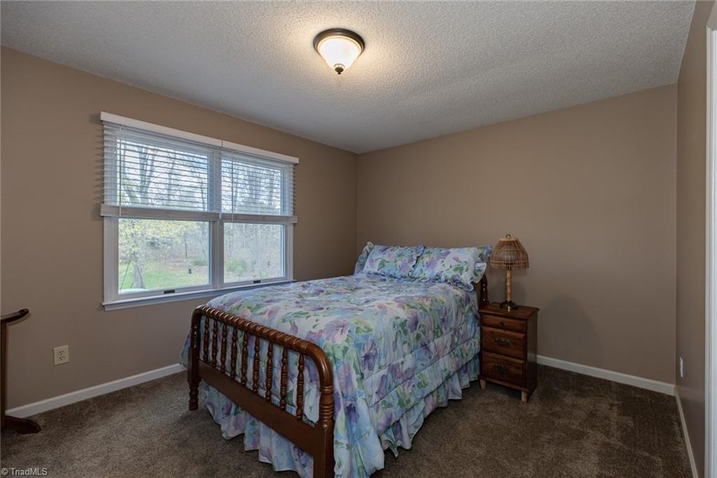 3951 Nelson Road Sophia, NC 27350 - Photo 23 of 34