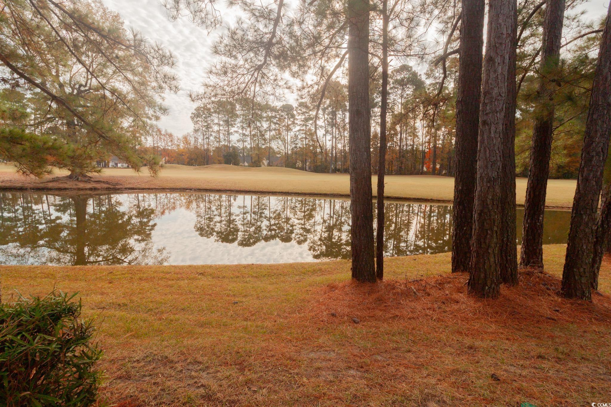 211 Connemara Drive, Unit 4E Myrtle Beach, SC 29579 - Photo 26 of 33