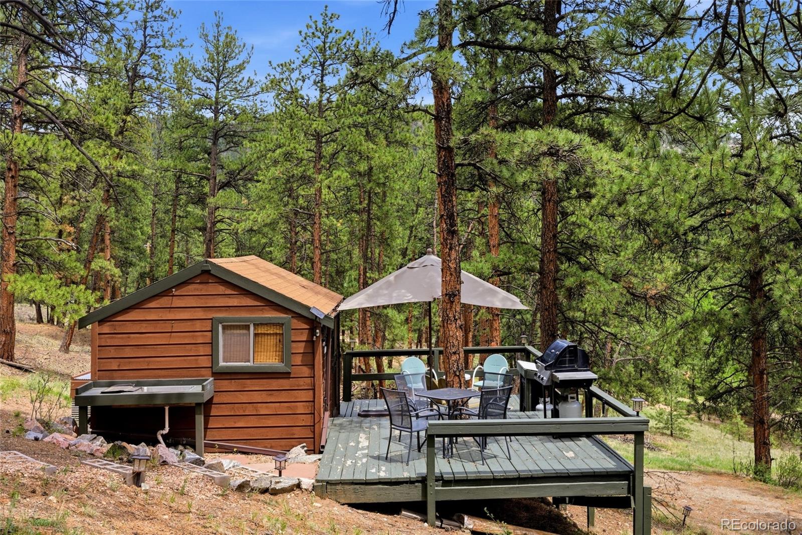 102 Insmont Drive Bailey, CO 80421 - Photo 35 of 45
