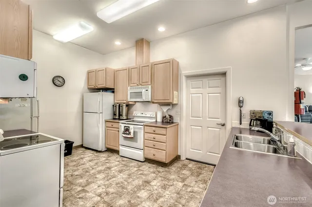 a view of a park with large trees