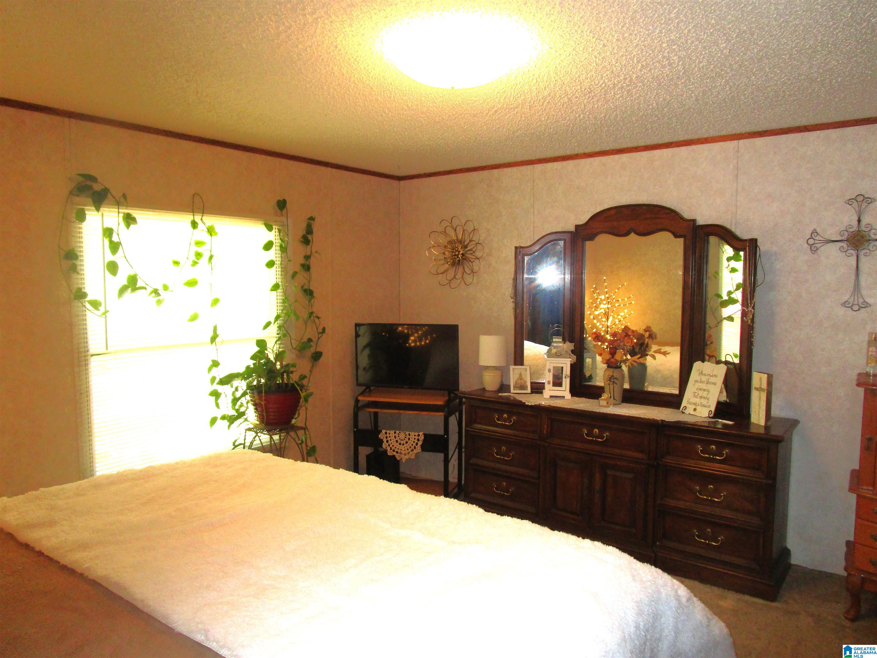191 Shady Hill Road Warrior, AL 35180 - Photo 13 of 34