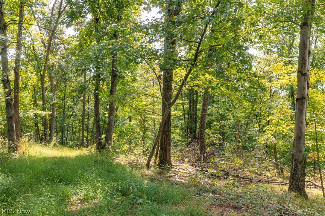27339 Tabor Ridge Road, Unit 4 Caldwell, OH 43724 - Photo 11 of 34 Gallery Image 11