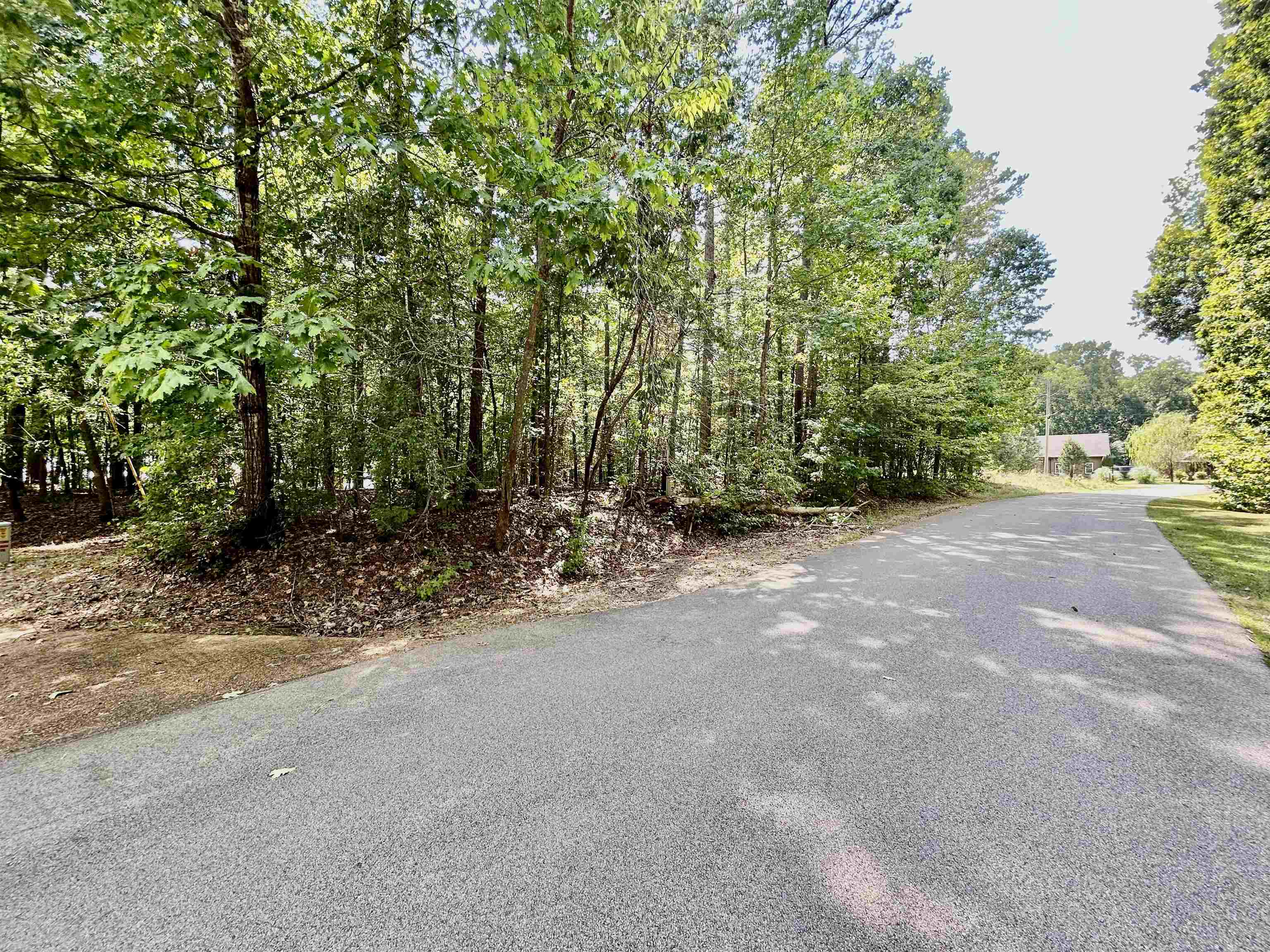 38 Cr 329 Road Iuka, MS 38852 - Photo 5 of 10 View of asphalt street