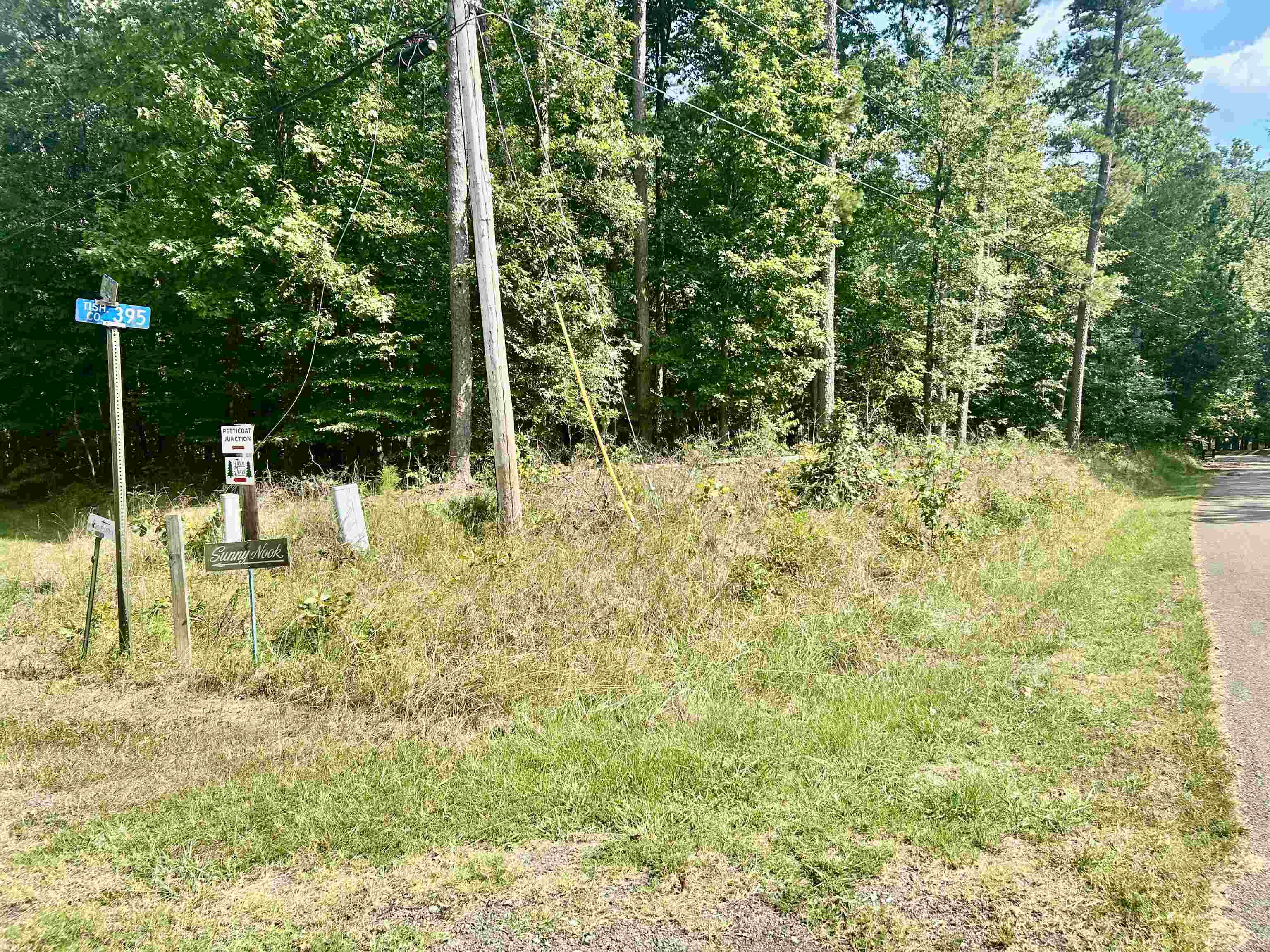 38 Cr 329 Road Iuka, MS 38852 - Photo 6 of 10 View of nature