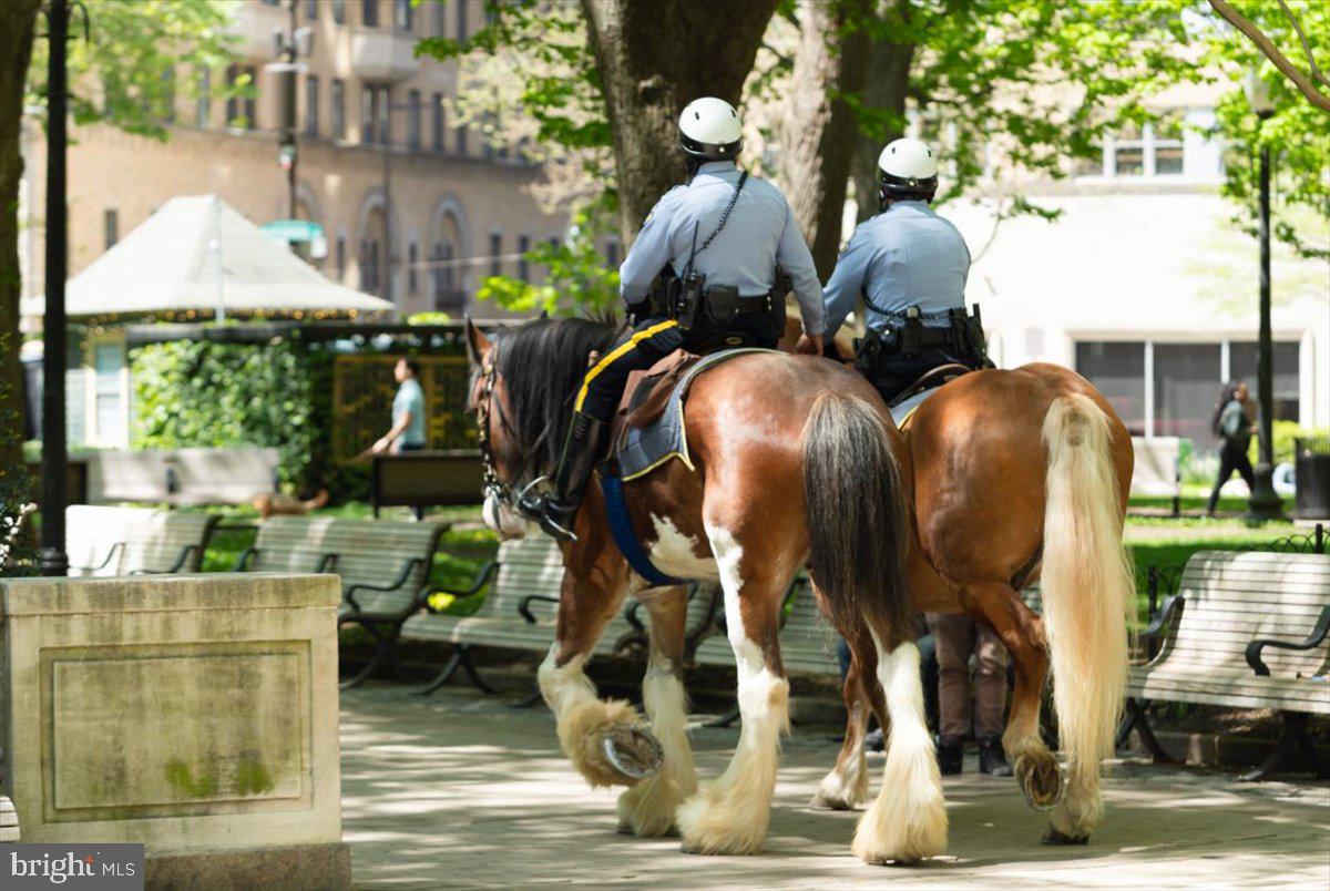 1810 Rittenhouse Square, Unit 1608 Philadelphia, PA 19103 - Photo 31 of 31