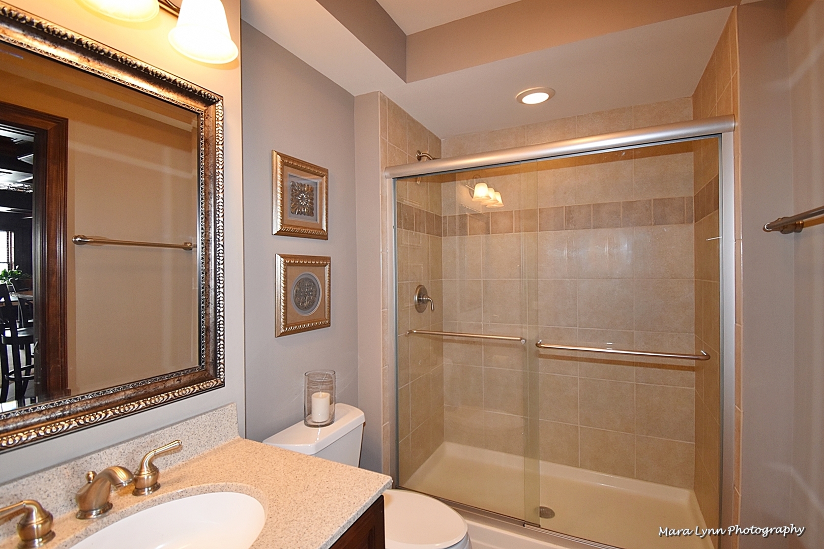 3713 Ridge Pointe Drive Geneva, IL 60134 - Photo 48 of 61