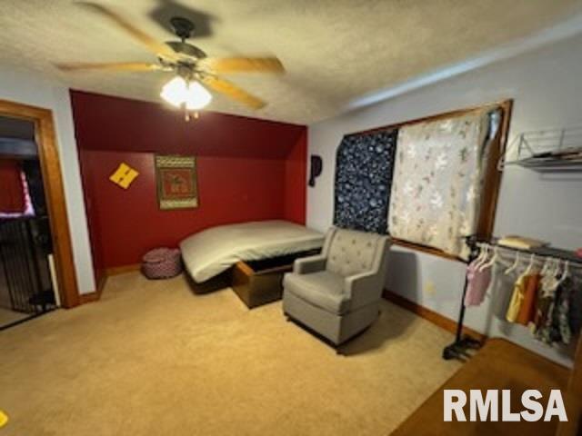 824 Bills Road Franklin, IL 62638 - Photo 42 of 44