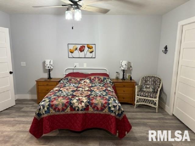 824 Bills Road Franklin, IL 62638 - Photo 10 of 44